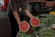 中山娱乐场所吃瓜,揭秘幕后吃瓜故事