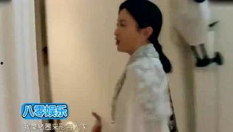 娱乐小文吃瓜,小文吃瓜，幕后真相大曝光！